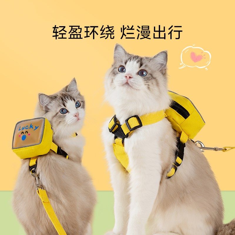 宠物透明小背包牵引绳胸背款防挣脱外出遛猫绳布偶英短美短猫咪用,淘宝优惠券,粉丝福利购,淘宝优惠卷