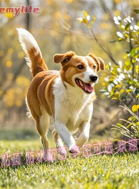 中华田园犬海报自粘画防水装饰室