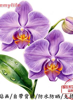紫色兰花无背景中式自粘贴纸室内