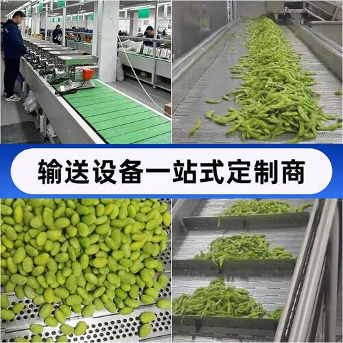 不锈钢链板输送机废纸打包机破碎机上料垃圾处理废钢剪切传送机 - 图2