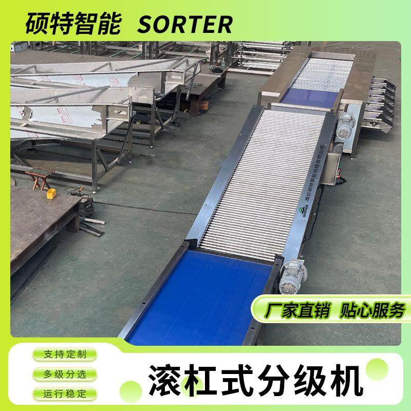 百合球直径分拣机 青皮核桃选果机 蒜头大小挑选设备 山楂分选机,淘宝优惠券,粉丝福利购,淘宝优惠卷