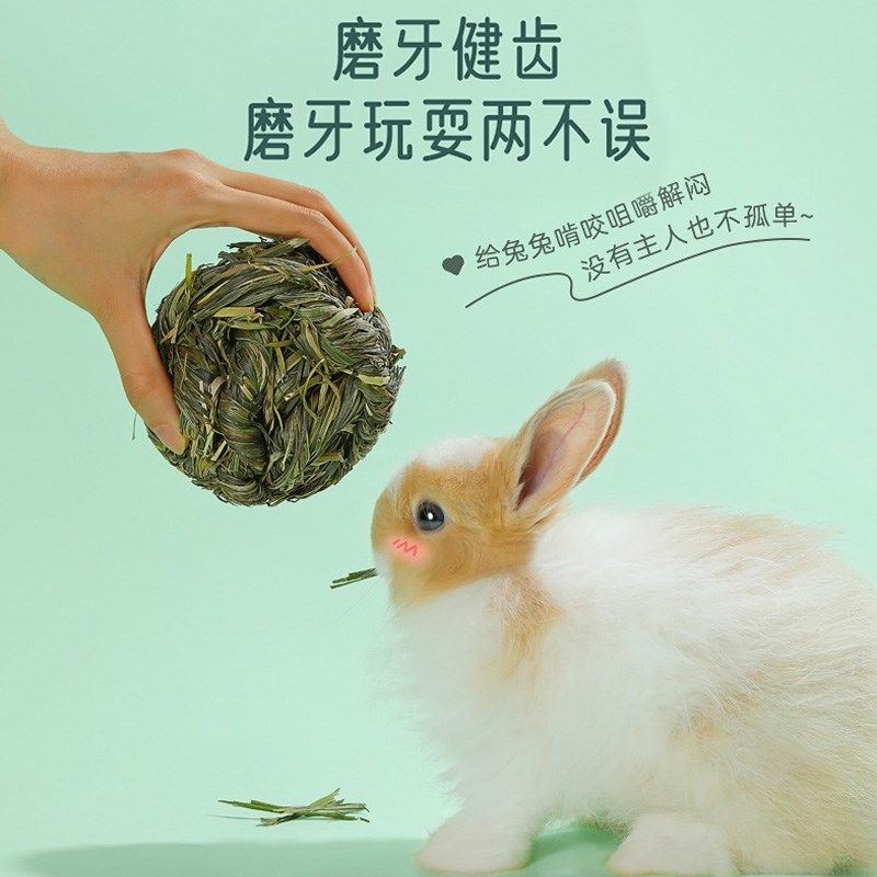 兔子玩具解闷提摩西草球给宠物小兔兔啃咬磨牙玩的玩具专用品零食,淘宝优惠券,粉丝福利购,淘宝优惠卷
