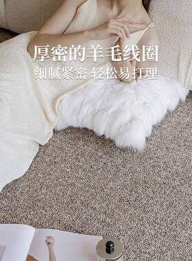 新西兰纯羊毛客厅地毯无胶编织茶几沙发卧室床边地毯