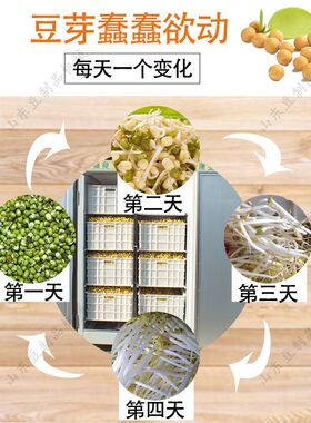 大型商用全自动智能型豆芽机发豆芽神器日产50-300斤豆芽工厂
