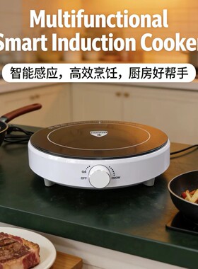 圆形火锅电磁炉小型定制越南英文家用款Induction Cooker