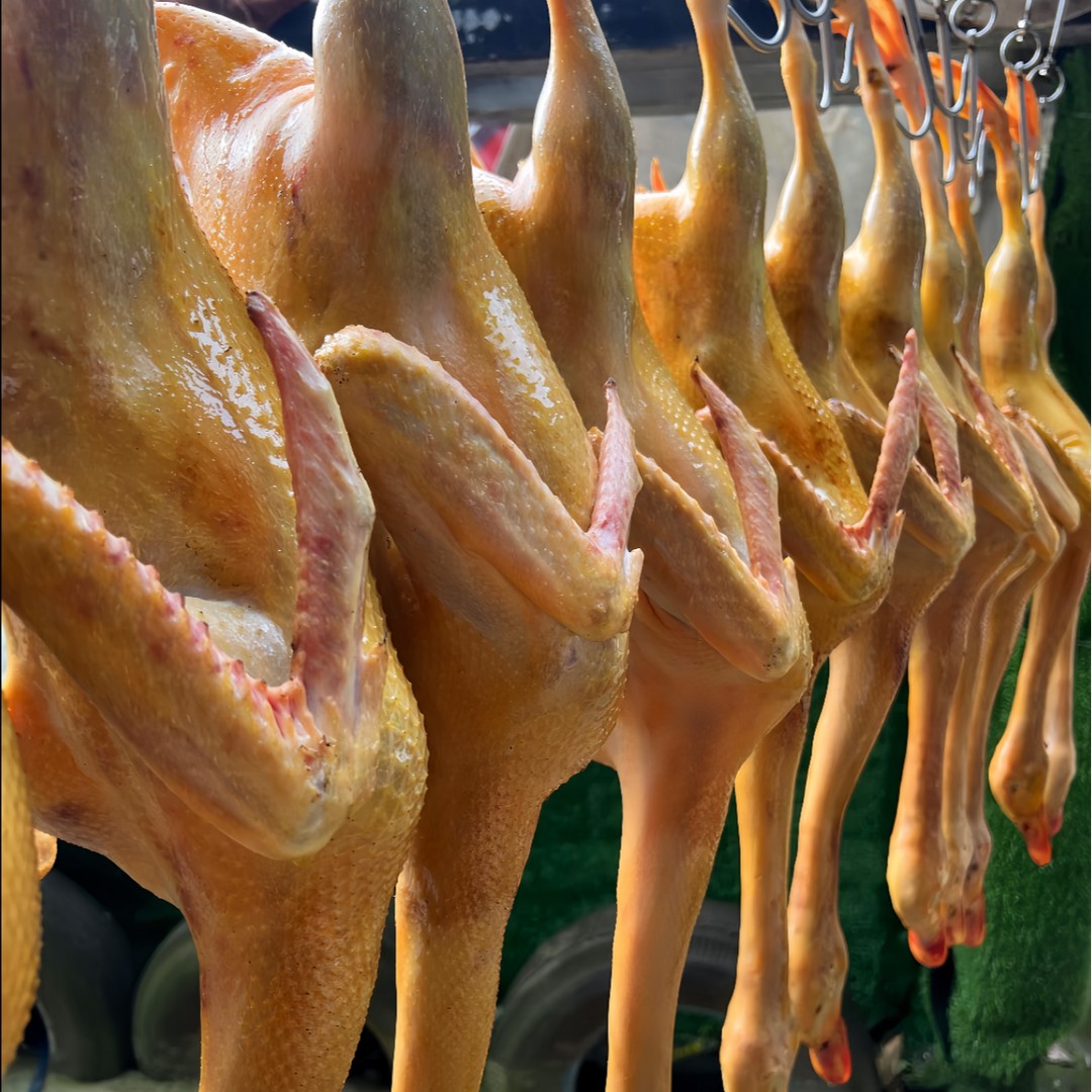 Sichuan authentic free-range shelduck in rice fields, yellow skin and red meat~with internal organs, net weight 4 catties/piece