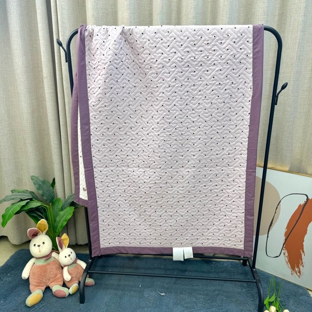 【宿舍垫 飘窗垫 沙发垫】90×200单人床盖水洗棉绗缝磨毛卡通双 - 图3