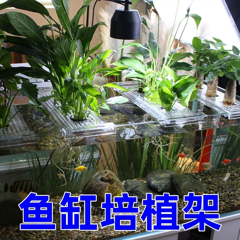 鱼缸水培植物篮家用水草种植杯壁清仓挺水植物定植篮鱼缸篮子水草,淘宝优惠券,粉丝福利购,淘宝优惠卷