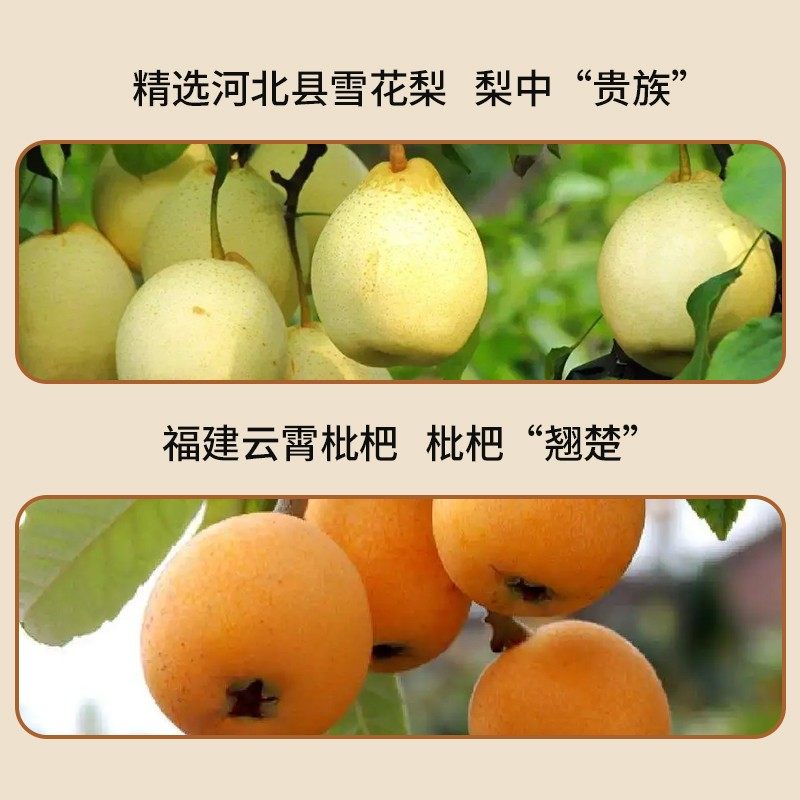 换季润燥水姚小茶金银花枇杷雪梨饮养生水冲饮草本植物饮料