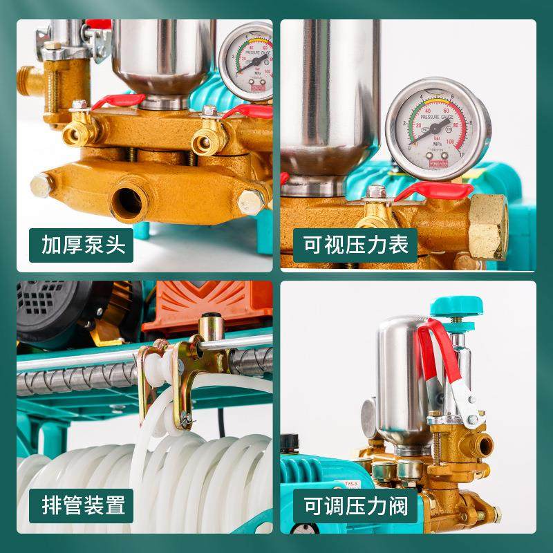 自动新型果园打农药机新式汽油喷雾器电动打药机果园喷洒机感应,淘宝优惠券,粉丝福利购,淘宝优惠卷