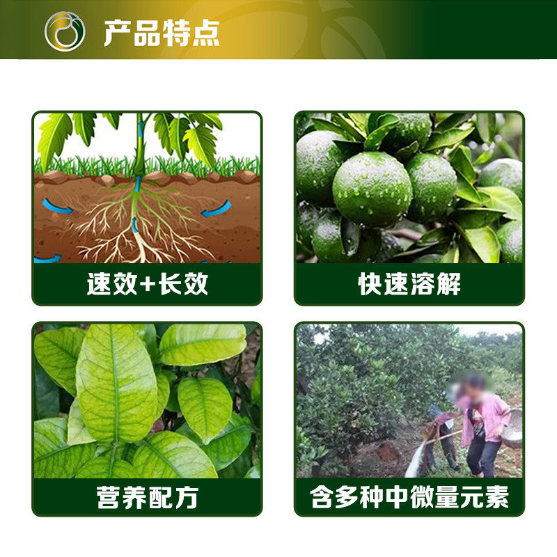 大丰收 丰满龙15-15-15高塔硝硫基复合肥果树植物通用 - 图1