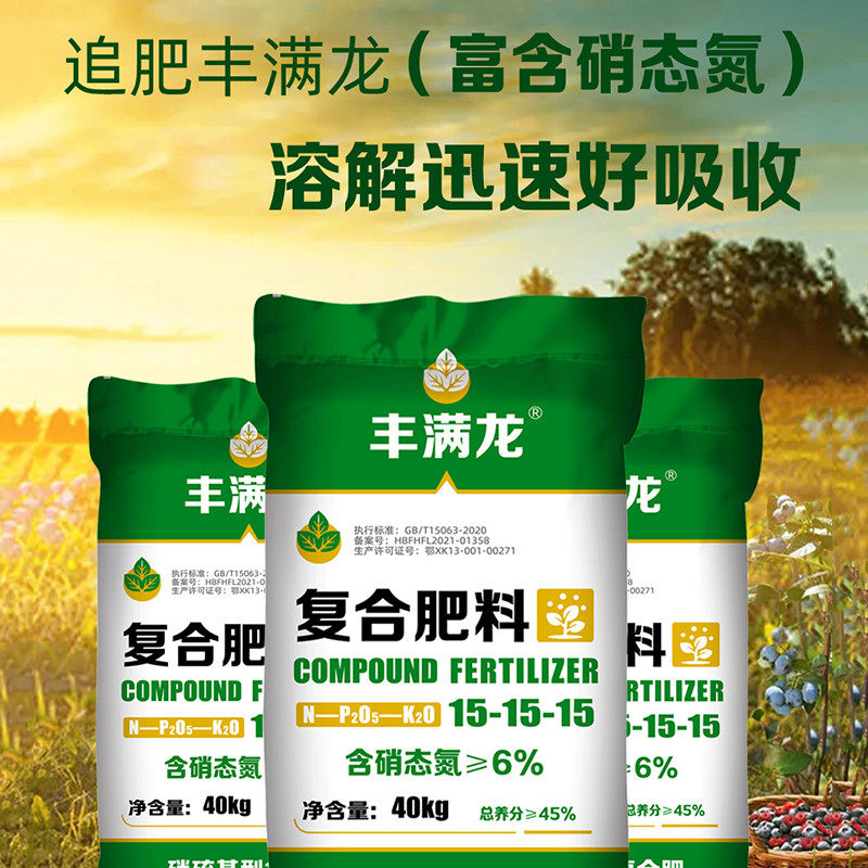 大丰收 丰满龙15-15-15高塔硝硫基复合肥果树植物通用 - 图0