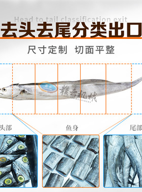 赣云牌全自动带鱼切段机多功能秋刀鱼海带牛肉干分段机输送式切块