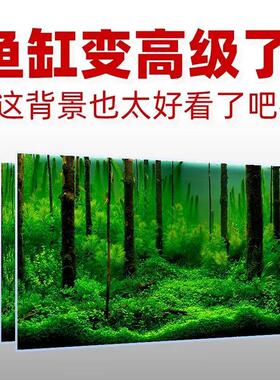3d立体高清图5d水族箱绿植造景装饰新款鱼缸背景贴纸正胶自粘壁画