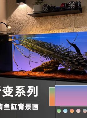 新款高清图水族箱生态缸造景装饰缸外正胶鱼缸渐变背景画专用贴纸