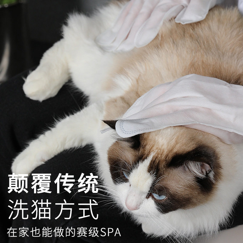 宠物清洁手套要重新抑免水洗美容清洁除臭去污猫狗通用宠物用品,淘宝优惠券,粉丝福利购,淘宝优惠卷