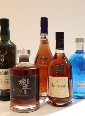 柜装饰品样板间仿真威士忌摆件橱柜展厅道具假洋酒软装餐厅陈设