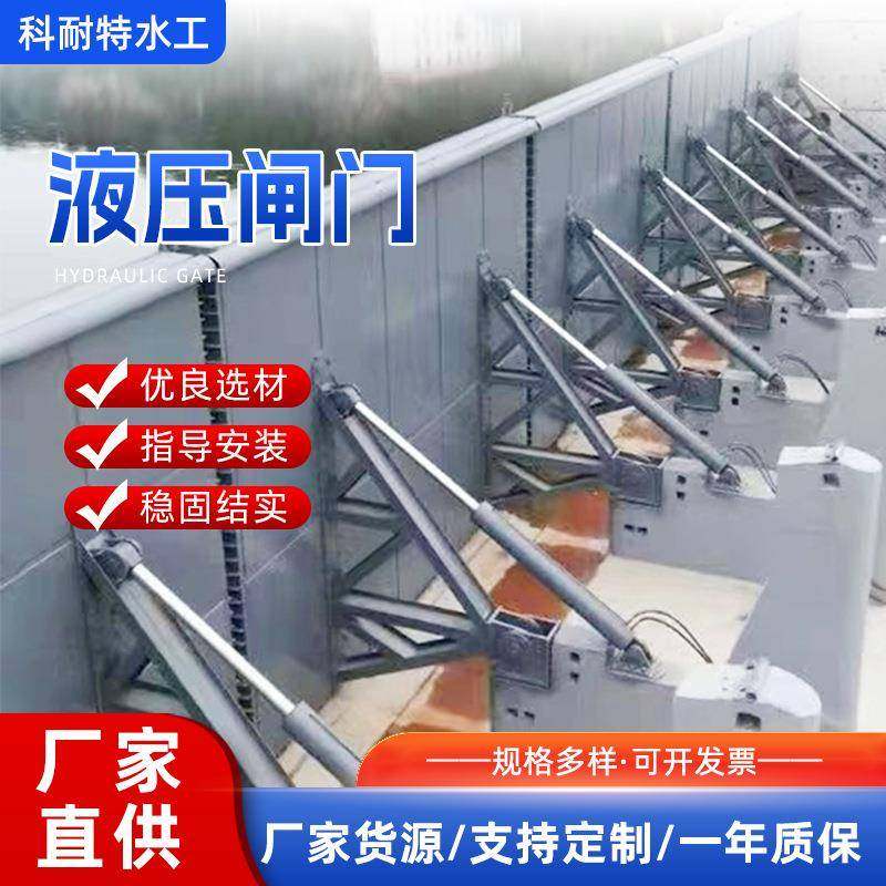不锈钢液压升降钢坝渠道河道水利工程自动底轴驱动合页坝闸门,淘宝优惠券,粉丝福利购,淘宝优惠卷