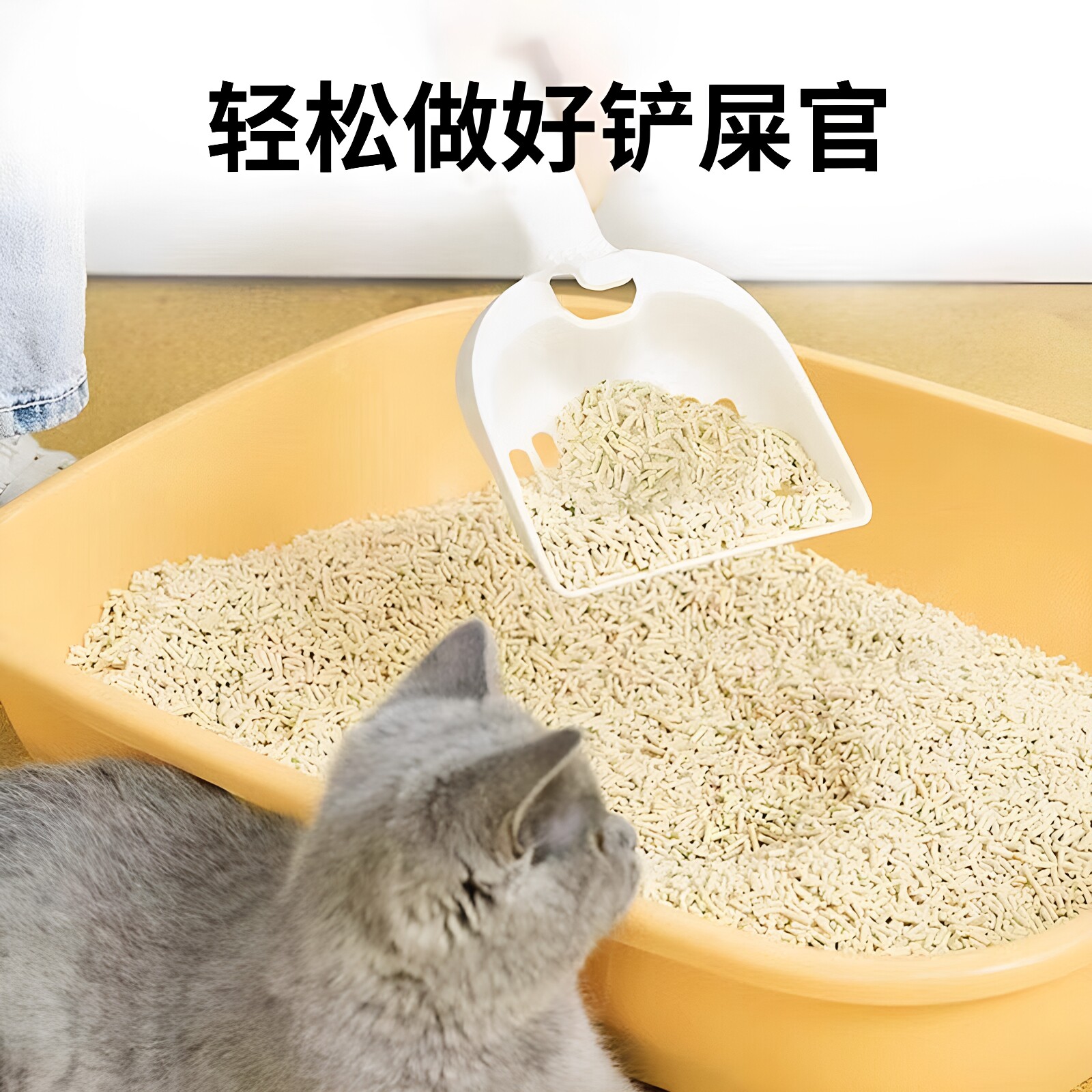 图 5