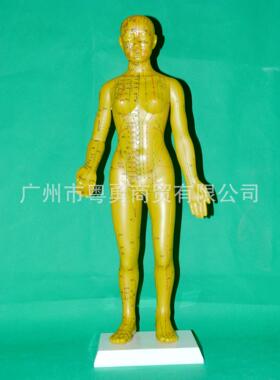 医学保健男女全新刻字工艺人体58cm针灸穴位人体经络模型铜人