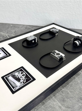 摄影主题装饰画/相机模型画/立体画样板间展厅软装道具艺术摆件