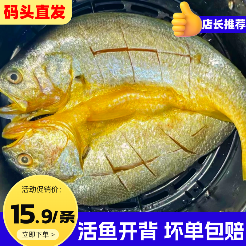 黄鱼鲞鲜活大黄鱼开背三去免处理黄瓜鱼黄花鱼海鱼商用海鲜水产,淘宝优惠券,粉丝福利购,淘宝优惠卷