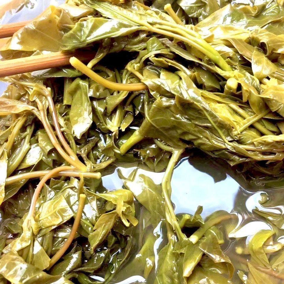 帕贡菜云南特产傣族泡野菜树头菜帕棍菜德宏芒市腌怕控佤族鸡爪菜,淘宝优惠券,粉丝福利购,淘宝优惠卷