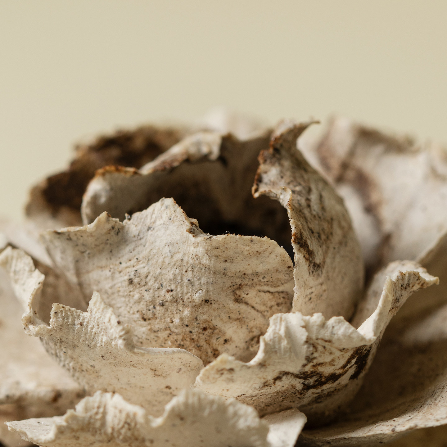 里作非遗手捏花瓣线香插底座香炉扩香器香薰炉居家摆件送闺蜜礼物,淘宝优惠券,粉丝福利购,淘宝优惠卷