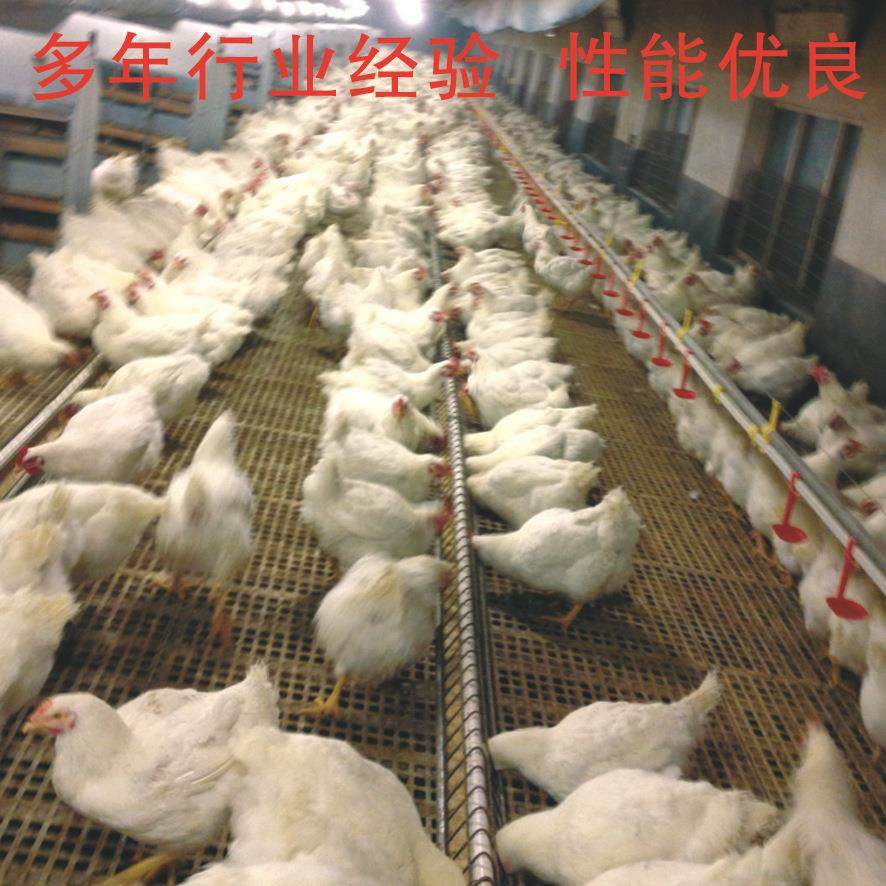 种鸡料线种鸡刮板喂料系统料线多层喂料系统南非刮板厂家直供,淘宝优惠券,粉丝福利购,淘宝优惠卷