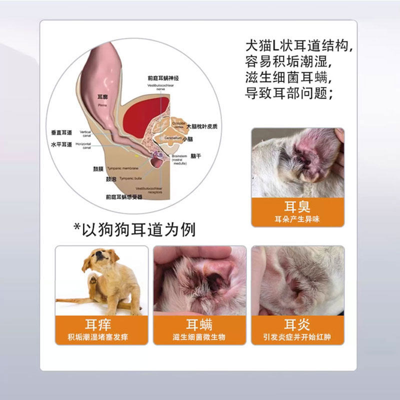 阿元泰猫咪狗狗通用滴耳液外用杀菌耳炎氟苯尼考甲硝唑清耳螨消炎,淘宝优惠券,粉丝福利购,淘宝优惠卷