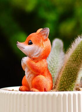 九尾狐狸多肉花盆景装饰户外造景白色猴尾柱小尾巴花园微景观摆件