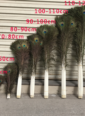 天然真孔雀羽毛家居摆件 大眼睛孔雀毛客厅 花瓶装饰品孔雀翎尾毛