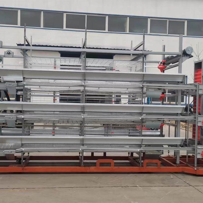 大层叠蛋鸡设备养殖笼养鸡全自动化鸡笼安装热镀锌肉鸡笼推荐,淘宝优惠券,粉丝福利购,淘宝优惠卷