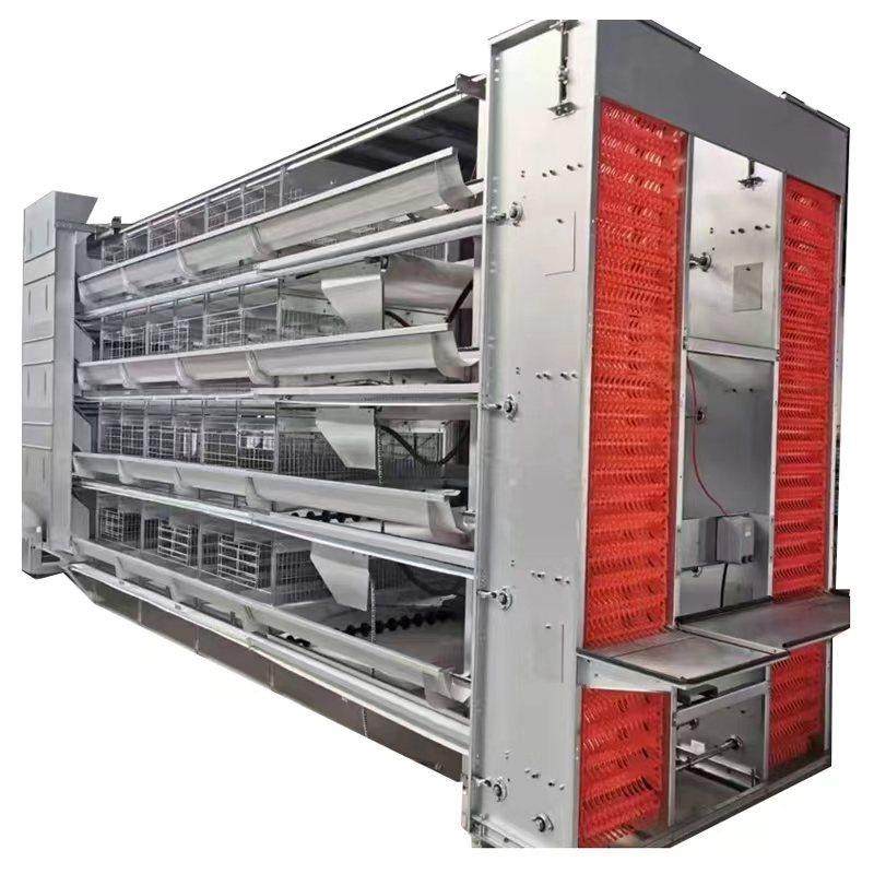 现货全自动化大层叠蛋鸡笼热镀锌养殖设备自动喂料集蛋清粪蛋鸡笼,淘宝优惠券,粉丝福利购,淘宝优惠卷