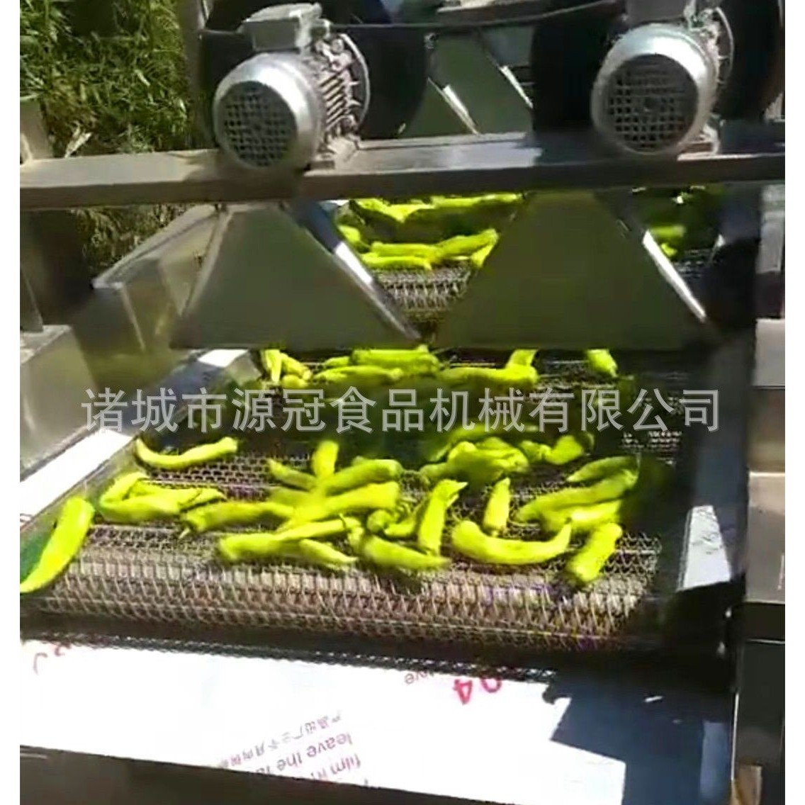 自动调频食品翻转风干机多功能蔬菜沥水机大枣软包装袋风干流水线,淘宝优惠券,粉丝福利购,淘宝优惠卷