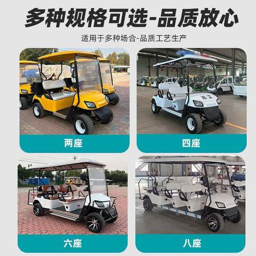 2-4-6座四轮观光车景区摆渡车Golfcart电动高尔夫球车燃油款出口 - 图0