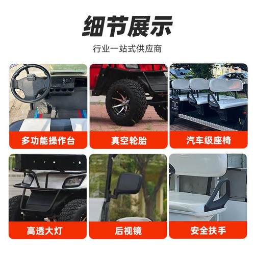 2-4-6座四轮观光车景区摆渡车Golfcart电动高尔夫球车燃油款出口 - 图1