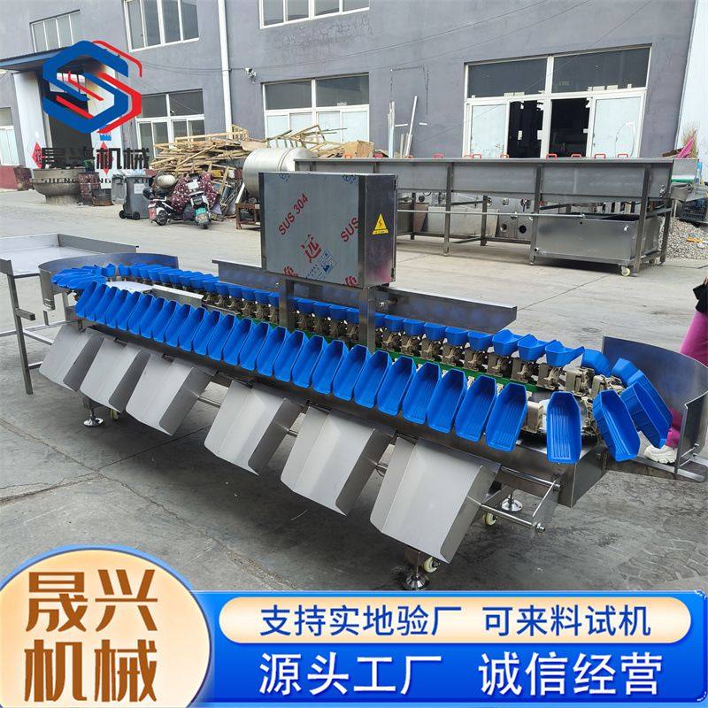 商用全自动料盒式海蛎子重量分选机 生蚝称重分选设备,淘宝优惠券,粉丝福利购,淘宝优惠卷