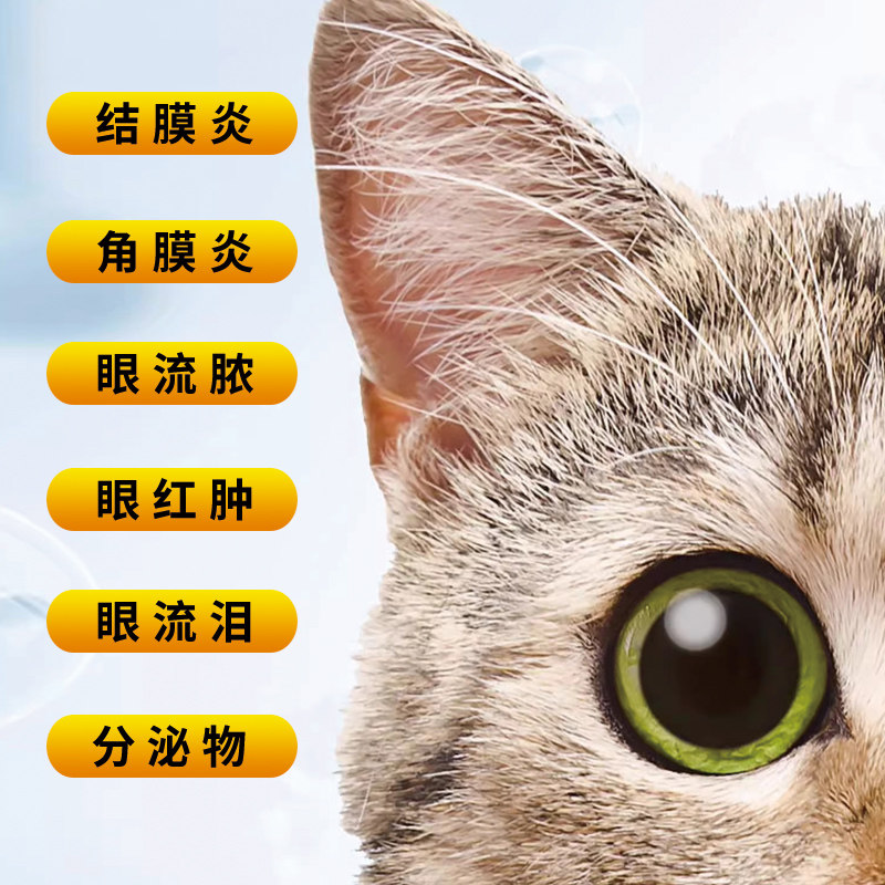 硫酸新霉素滴眼液宠物狗狗猫咪犬眼睛发炎流泪眼药水泪痕滴眼液新,淘宝优惠券,粉丝福利购,淘宝优惠卷