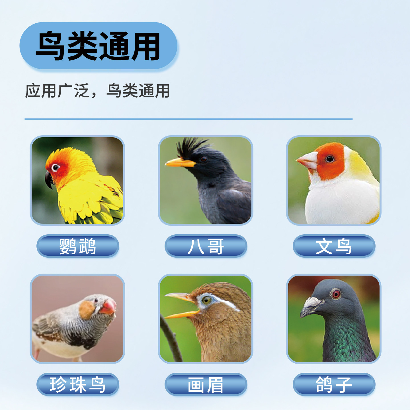 鸟用土霉素粉鹦鹉常备药鸽子呼吸道拉稀腹泻肠炎绿便水便专用药新,淘宝优惠券,粉丝福利购,淘宝优惠卷