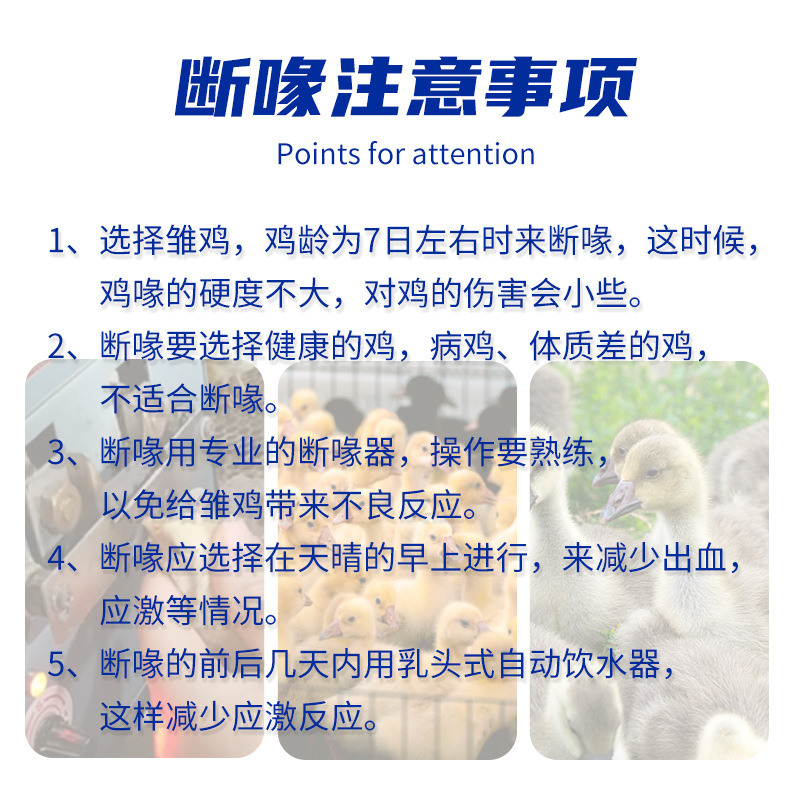 小鸡全自动切嘴机断喙器鸡用切嘴烫嘴机断嘴器养鸡设备用品送刀片 - 图0