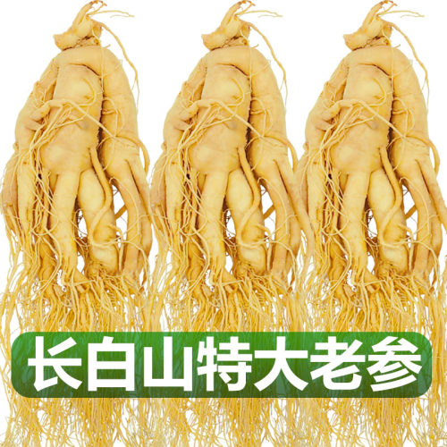 长白山正宗鲜人参煲汤泡酒专用高品质鲜参滋补养生吉林园参整枝参 - 图2
