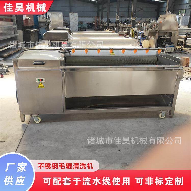 毛辊大姜红薯土豆去皮清洗机净菜毛刷清洗机毛滚全自动脱皮机小型,淘宝优惠券,粉丝福利购,淘宝优惠卷