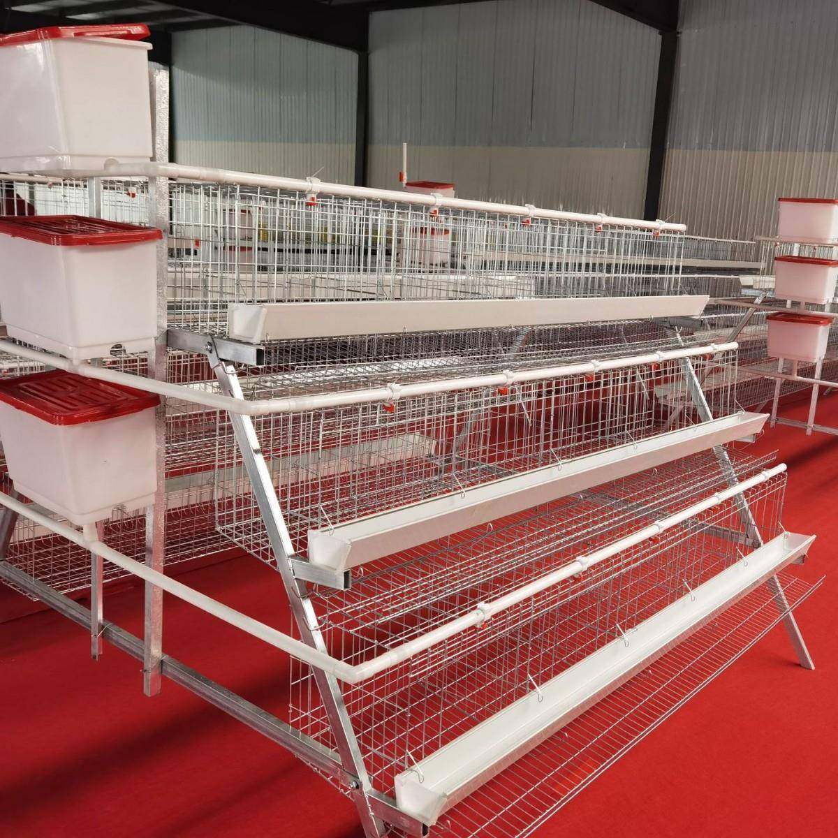 A型阶梯蛋鸡笼三层五门阶梯蛋鸡笼冷镀锌鸡舍家用养殖场源头厂家,淘宝优惠券,粉丝福利购,淘宝优惠卷