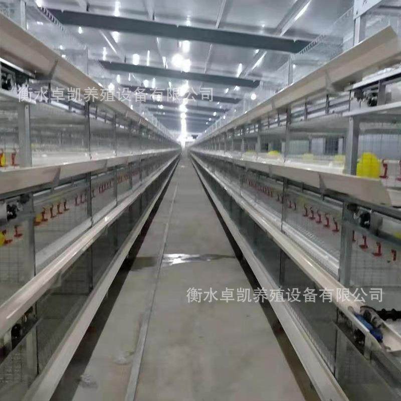 后热镀锌半自动立体框架肉鸡笼前吃后抓弹簧门加固加粗易清理,淘宝优惠券,粉丝福利购,淘宝优惠卷