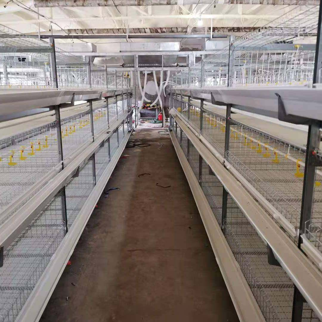 自动化养鸡设备大型养殖鸡舍肉鸡笼投喂养殖镀锌笼阶梯式养鸡设备,淘宝优惠券,粉丝福利购,淘宝优惠卷