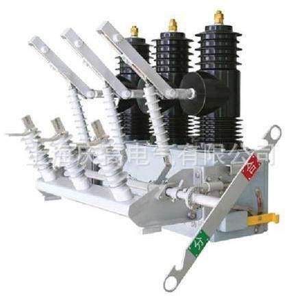 厂家直销ZW32M-12系列户外高压永磁式开关真空断路器 - 图3