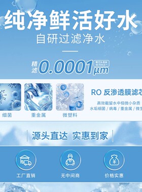 滤泊仕通用碧云泉净水器滤芯G3