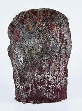 大号人造琥珀蝎子标本树脂工艺品 真昆虫动物原石化石虫珀摆件