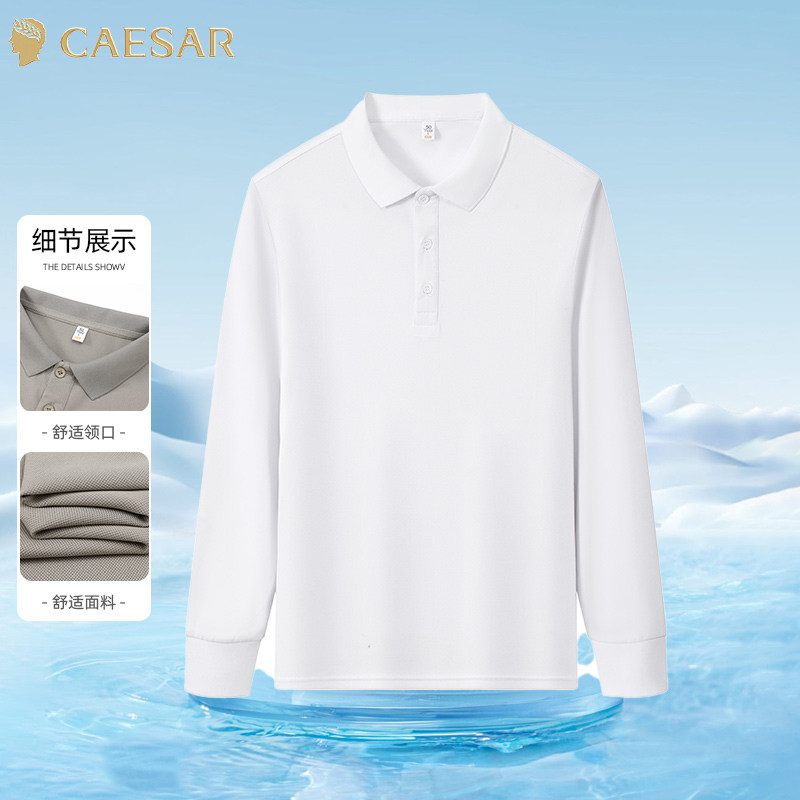 凯撒大帝2025年春季秋季男士毛衣加绒男款中年长袖纯色上衣打底衫